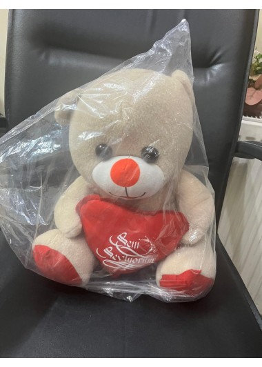 Küçük Boy Peluş Ayıcık 